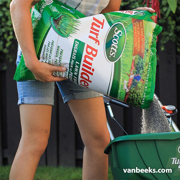 Scott's Turf Builder Fertilizer Van Beek's